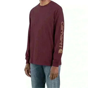 Carhartt heavyweight graphic tshirt! NWT!